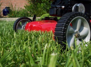 Lawn Maintenance Baton Rouge